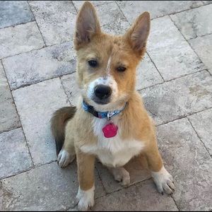 Meet your Posher, Aynsley